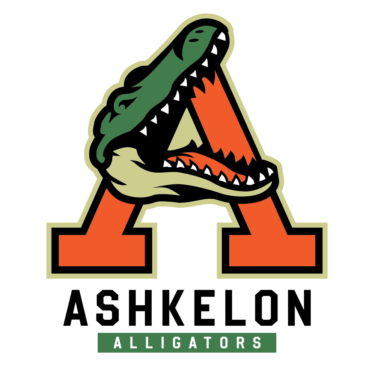 Alligators_FINAL